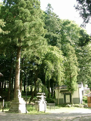 山家神社 写真