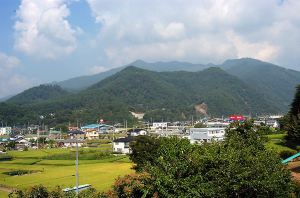 砥石米山城跡 写真