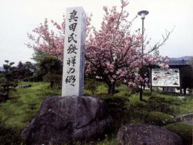 真田氏記念公園 写真