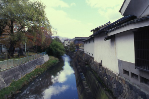 矢出沢川の景色 写真